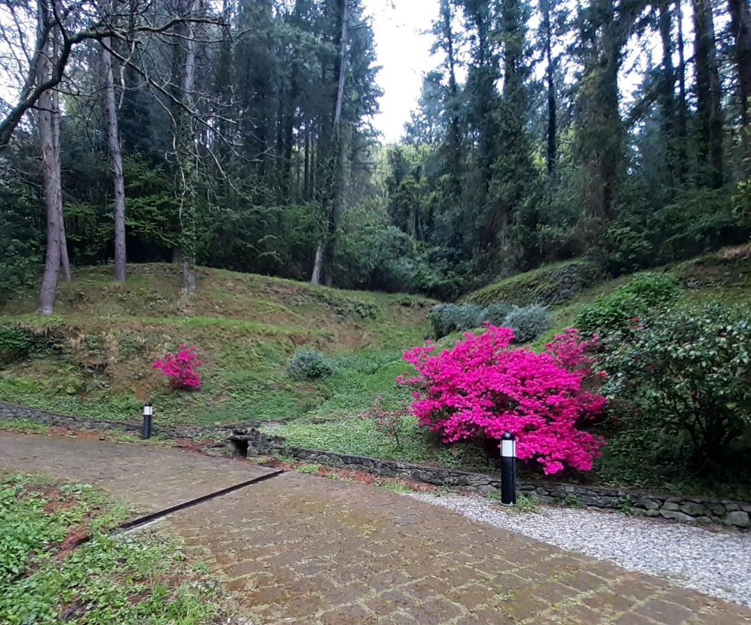Il Bosco Di Campo Marzano Garden Apartments Borzonasca Extérieur photo