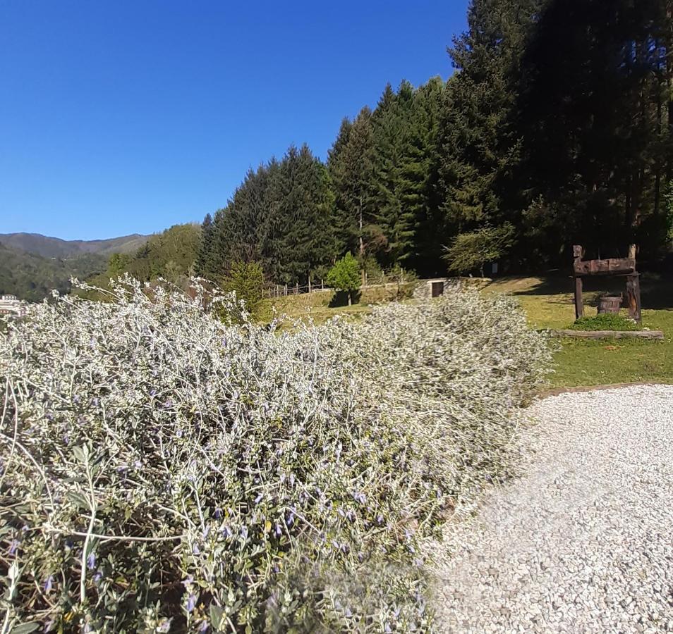 Il Bosco Di Campo Marzano Garden Apartments Borzonasca Extérieur photo