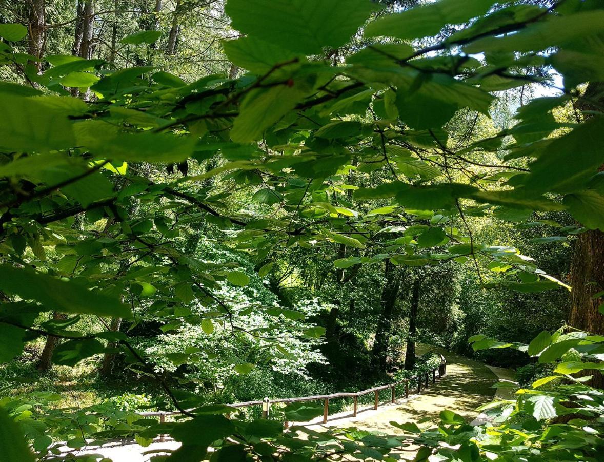 Il Bosco Di Campo Marzano Garden Apartments Borzonasca Extérieur photo
