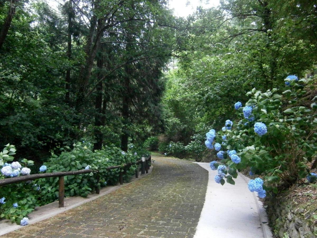 Il Bosco Di Campo Marzano Garden Apartments Borzonasca Extérieur photo